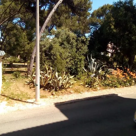 Rua Do Lobito باريد