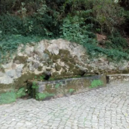 Rua Do Lobito شقة *